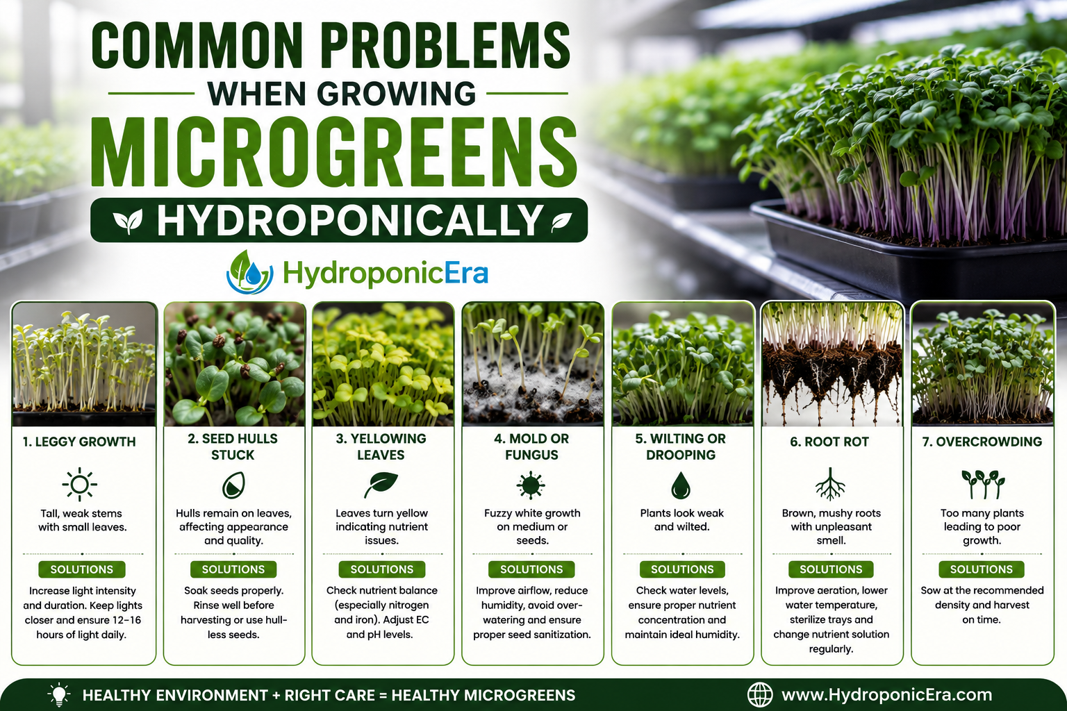 Hydroponic Microgreens Problem-Solving Guide