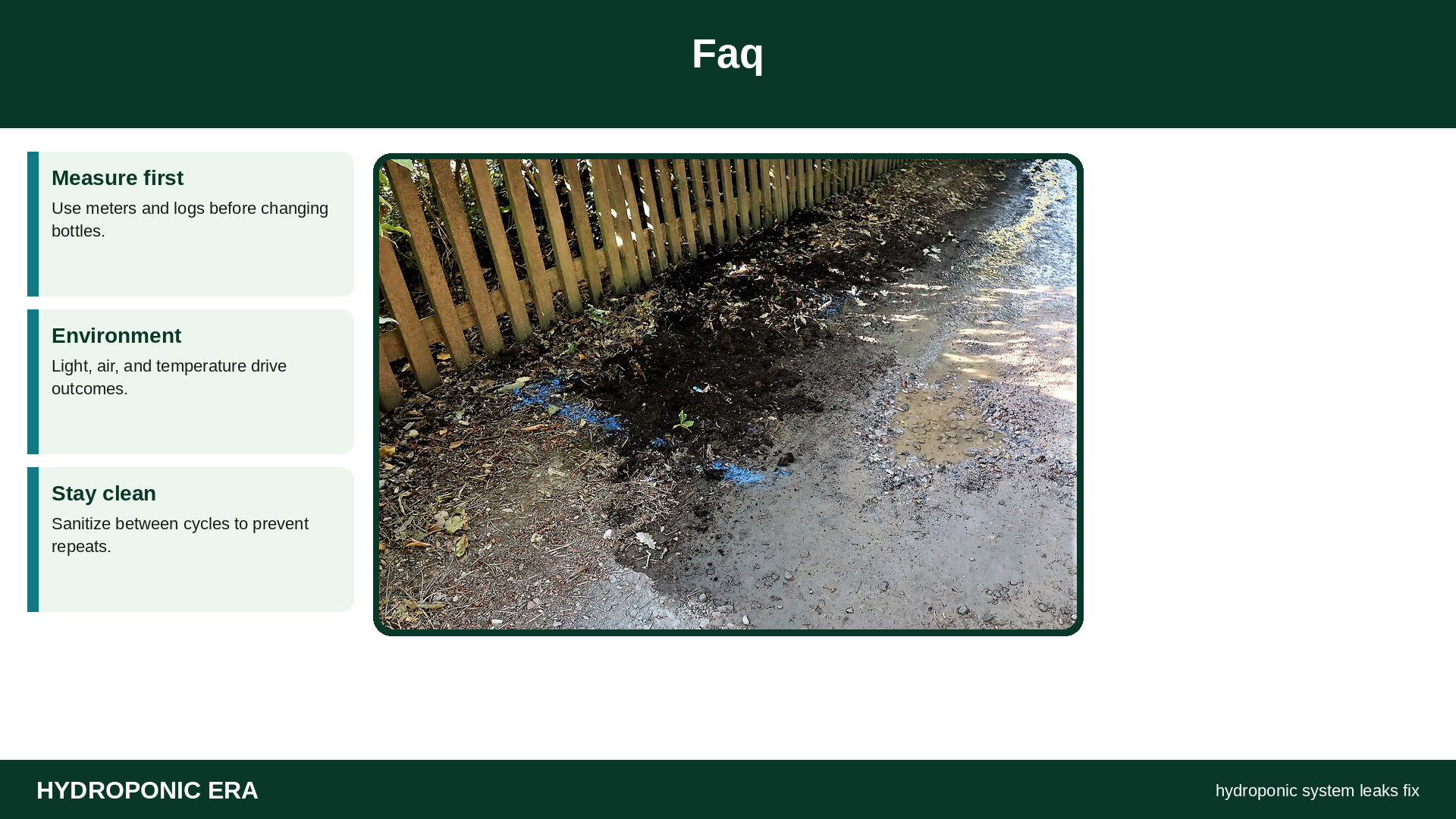 Faq — HydroponicEra tip card graphic