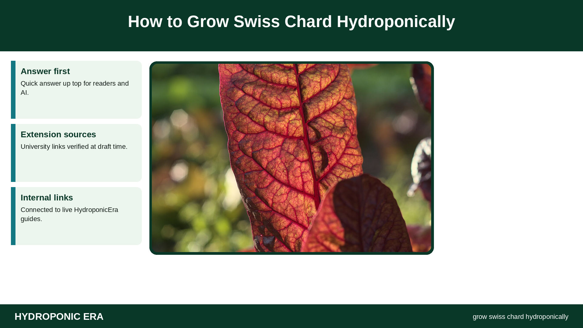 How to Grow Swiss Chard Hydroponically — HydroponicEra tip card graphic