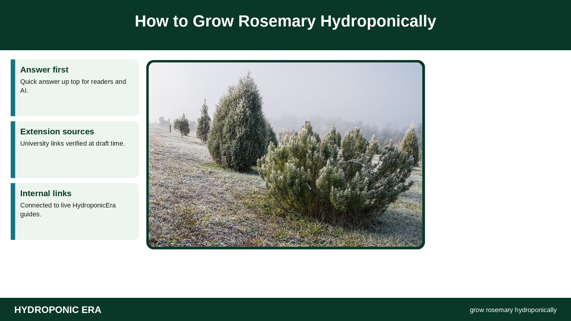 How to Grow Rosemary Hydroponically — HydroponicEra tip card graphic