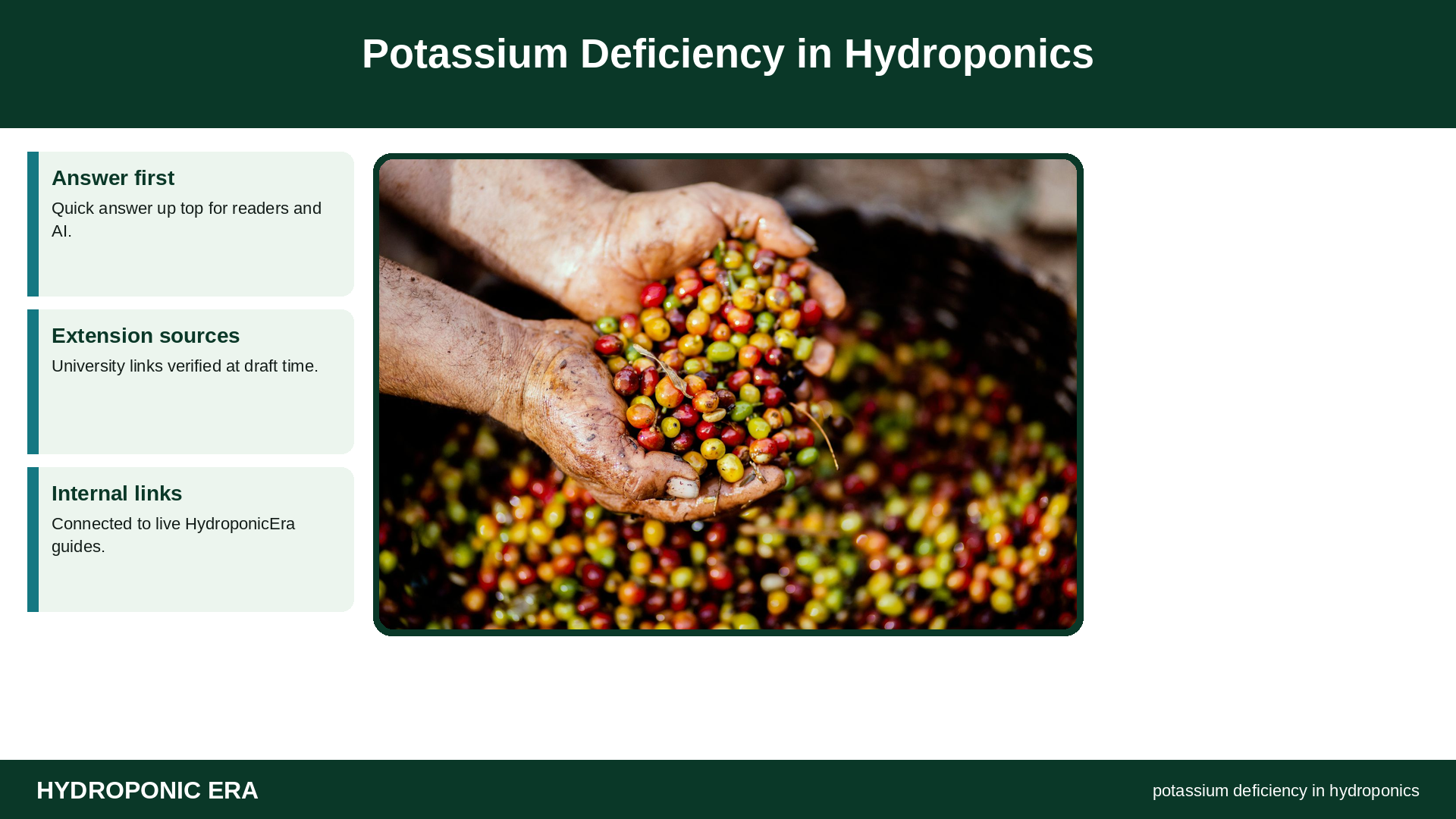 Potassium Deficiency in Hydroponics — HydroponicEra tip card graphic