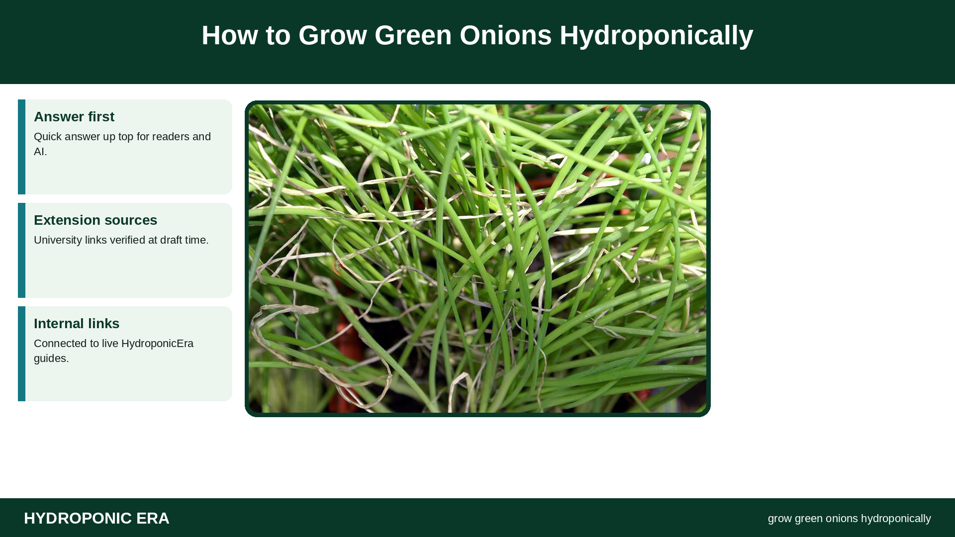 How to Grow Green Onions Hydroponically — HydroponicEra tip card graphic