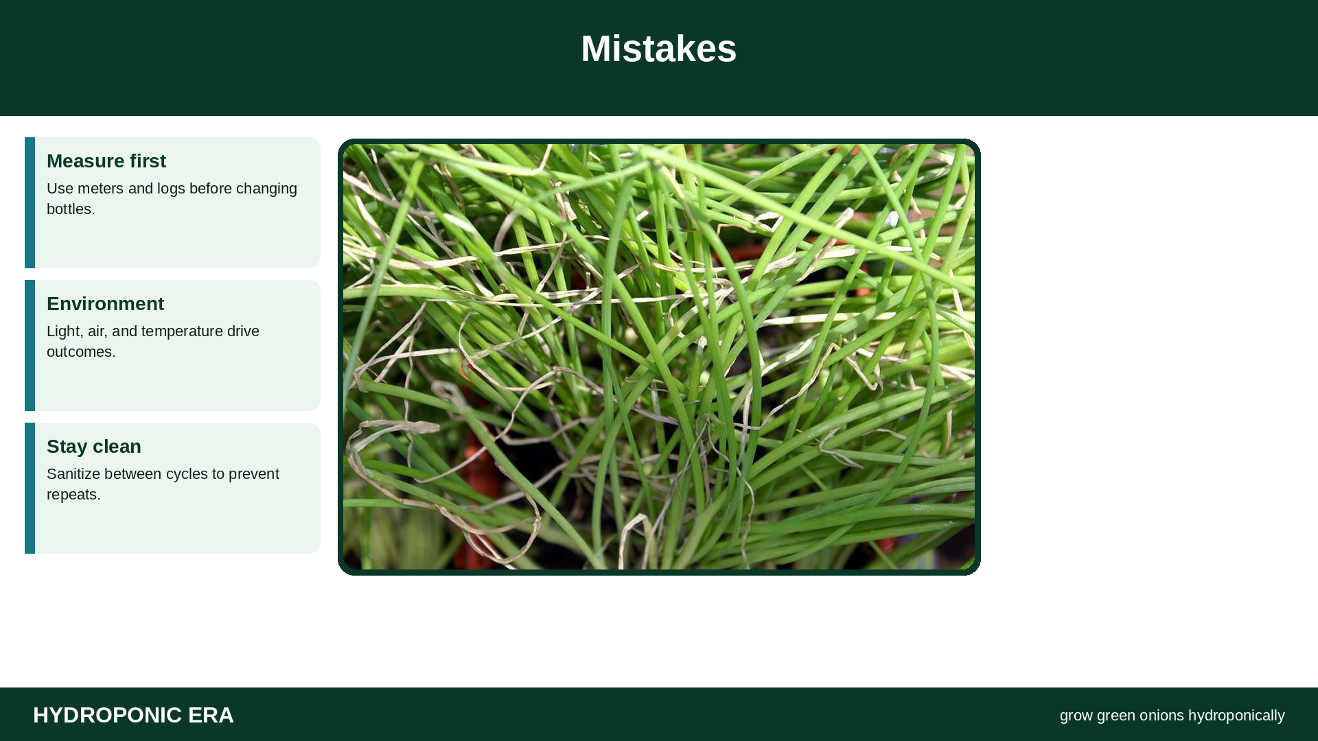 Mistakes — HydroponicEra tip card graphic