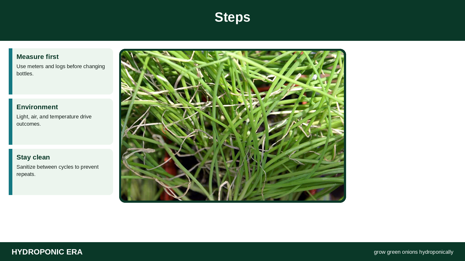 Steps — HydroponicEra tip card graphic