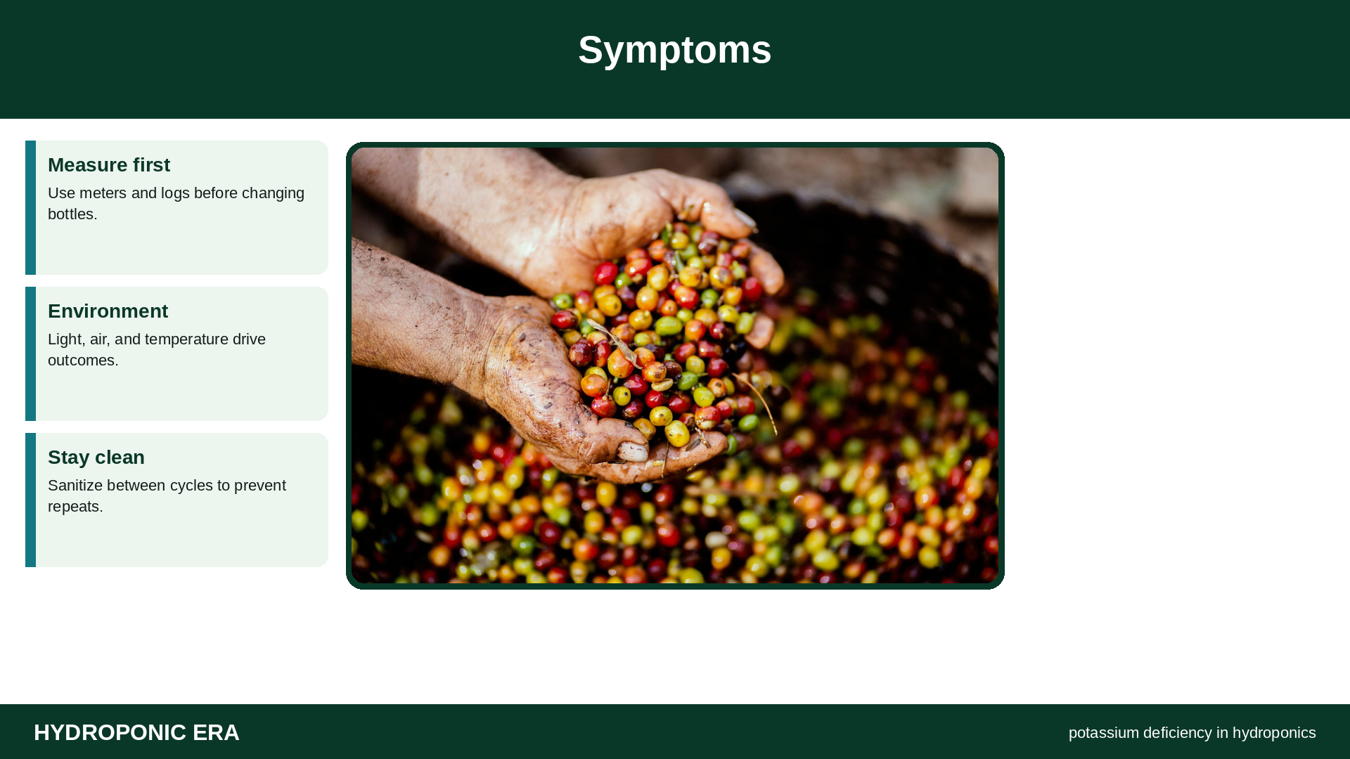 Symptoms — HydroponicEra tip card graphic