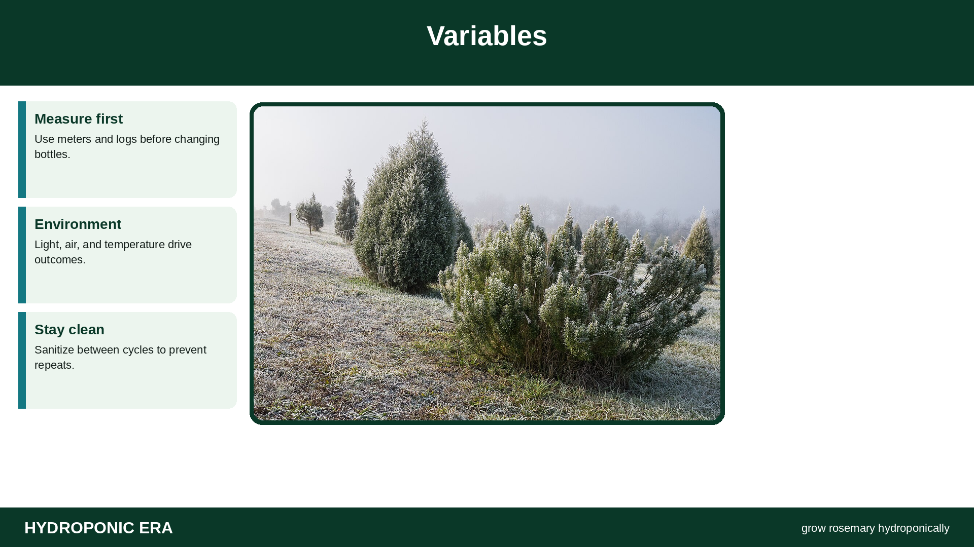 Variables — HydroponicEra tip card graphic