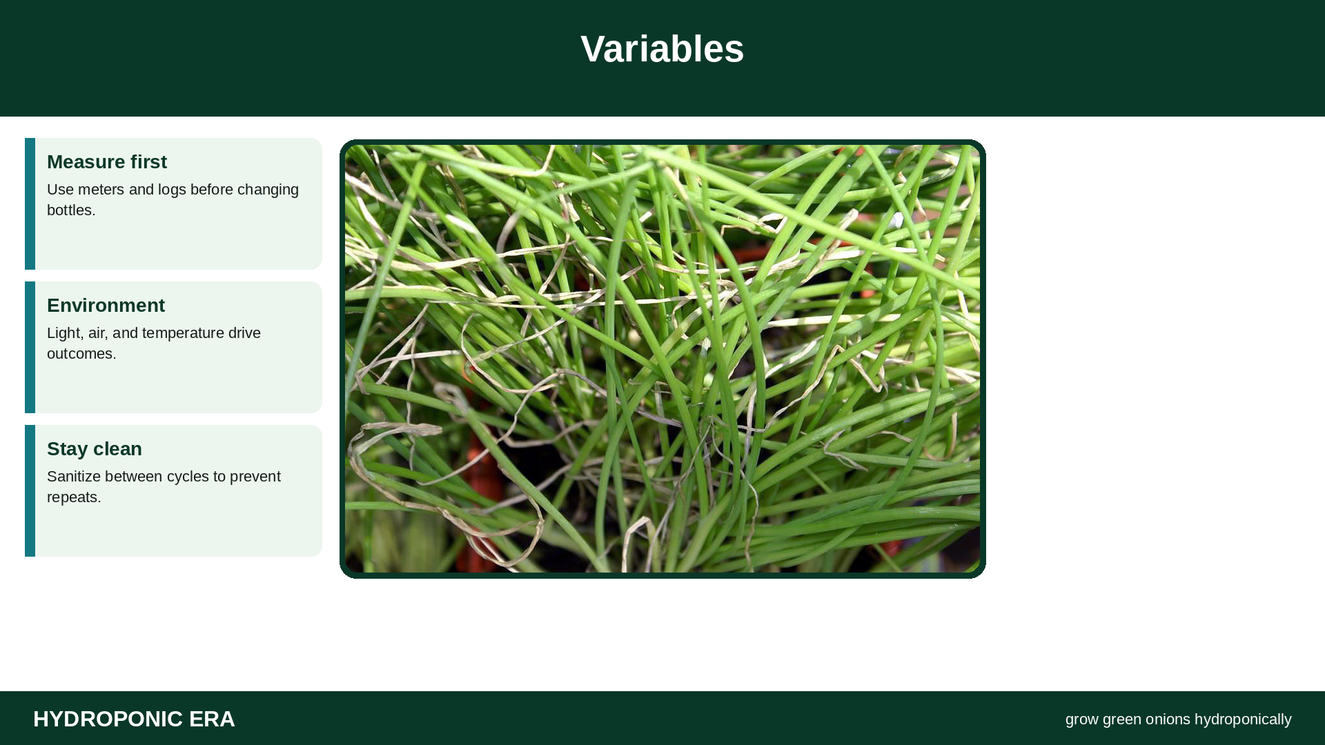 Variables — HydroponicEra tip card graphic