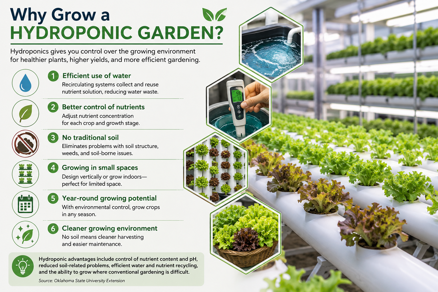 Why Grow a Hydroponic Garden