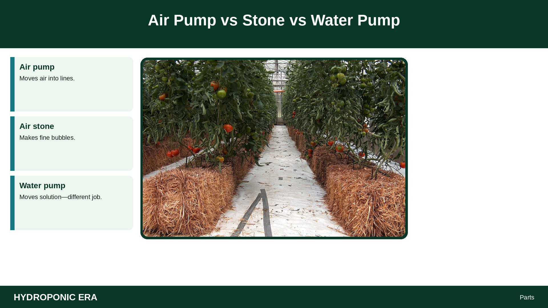 Air Pump vs Stone vs Water Pump — HydroponicEra tip card graphic