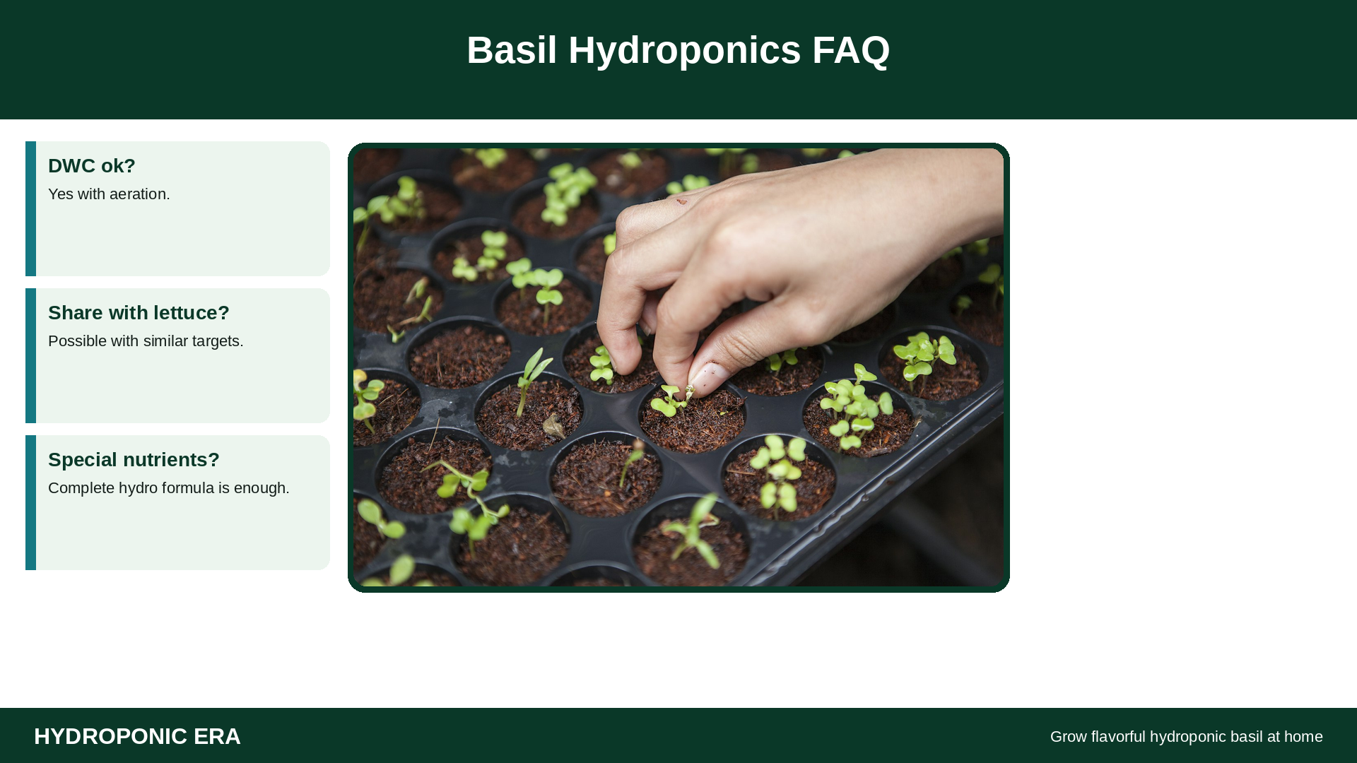 Lettuce and herbs with basil FAQ tip cards