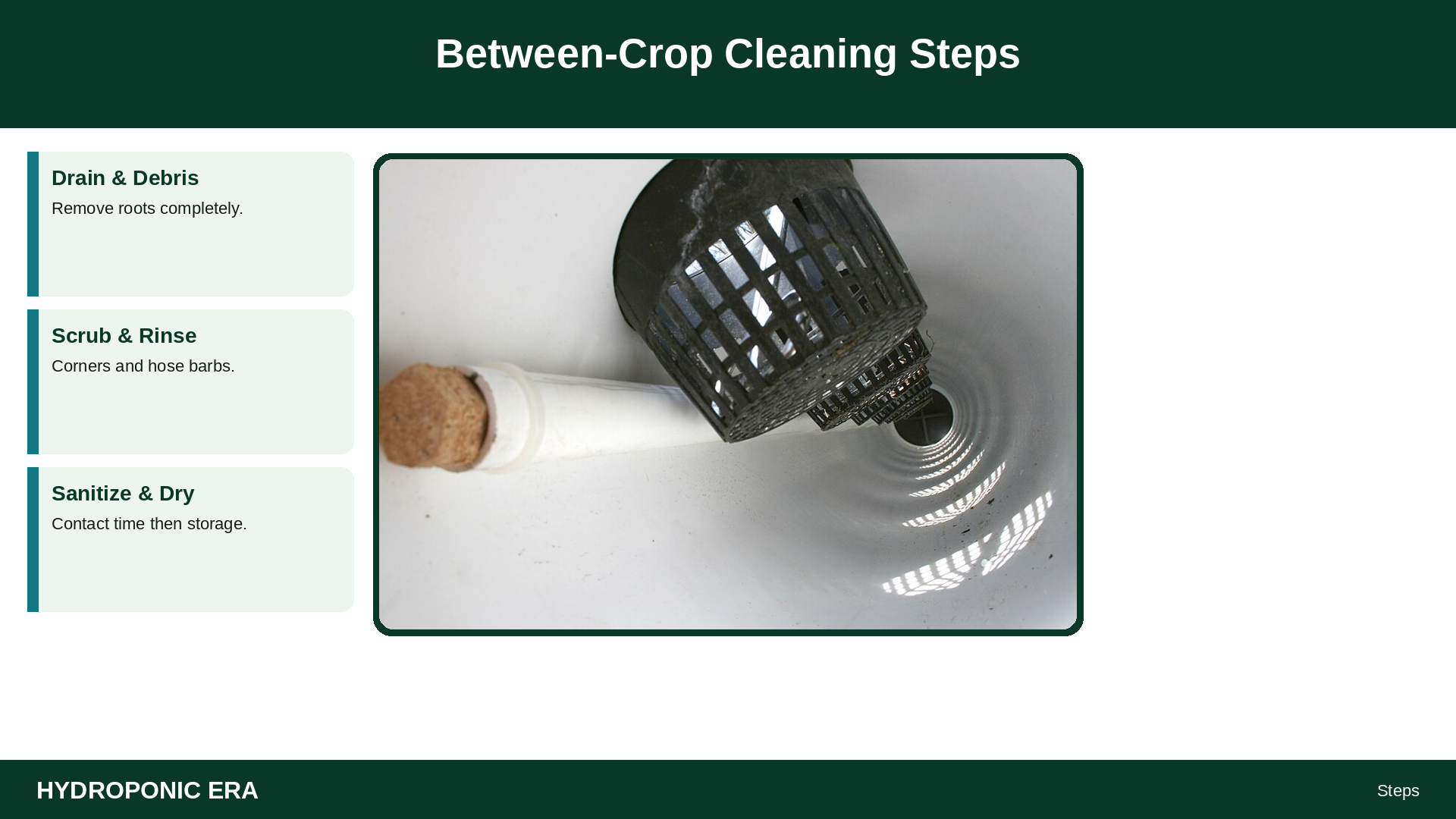 Between-Crop Cleaning Steps — HydroponicEra tip card graphic
