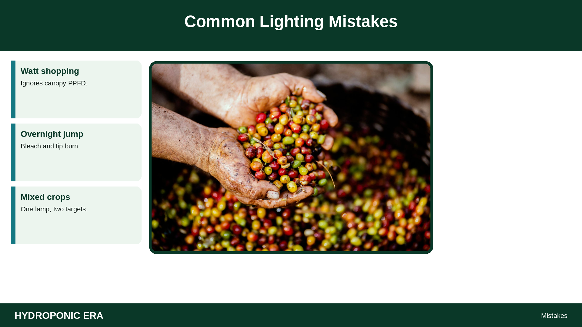 Common Lighting Mistakes — HydroponicEra tip card graphic