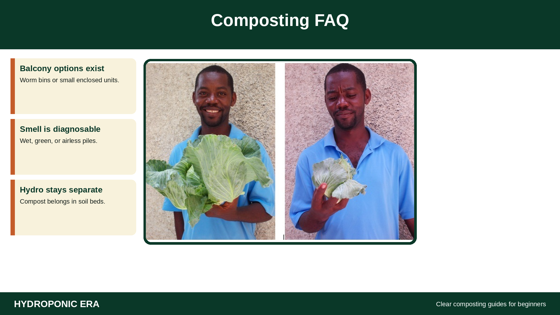 Composting FAQ: practical answers for home compost beginners