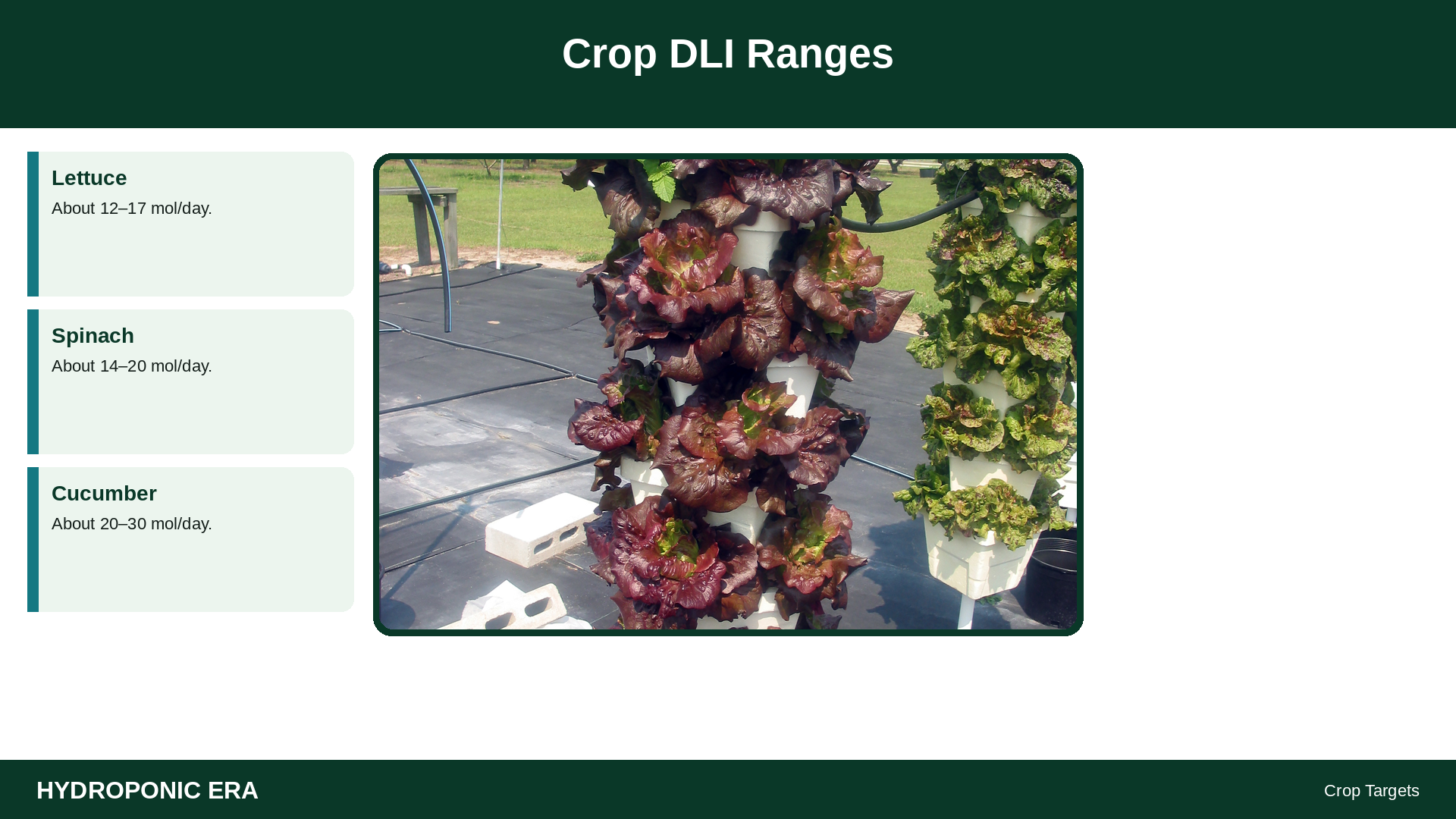 Crop DLI Ranges — HydroponicEra tip card graphic