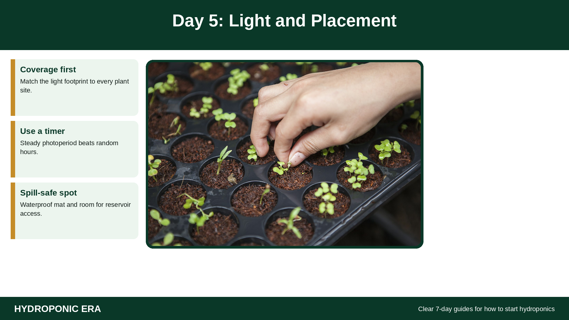 Day 5 light and placement for how to start hydroponics indoors
