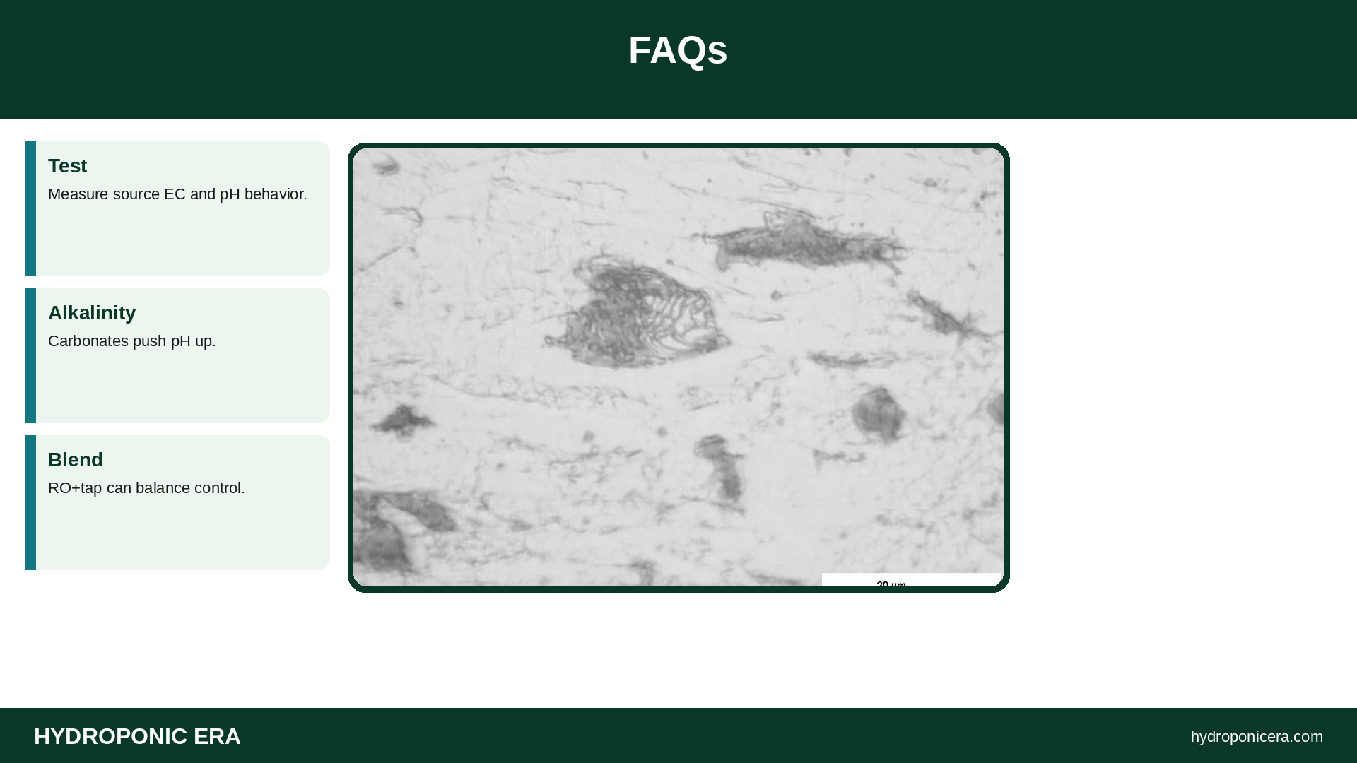 FAQs — HydroponicEra tip card graphic