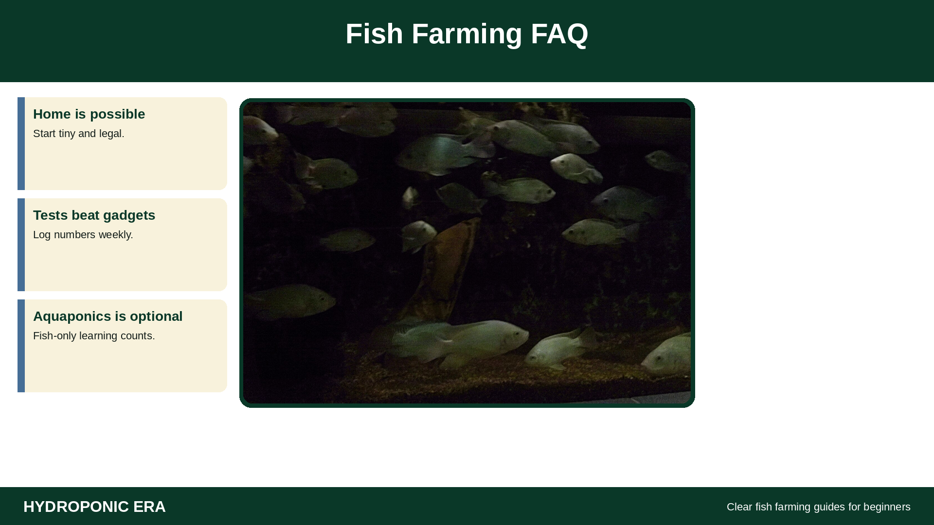 Fish farming FAQ for beginners learning home tank systems