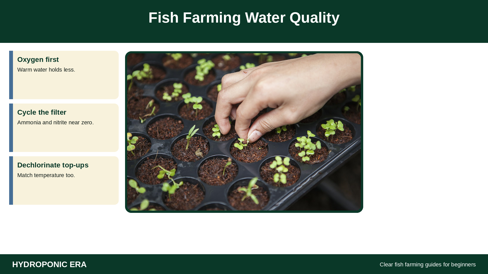 Fish farming water quality basics with leafy greens on shared loops