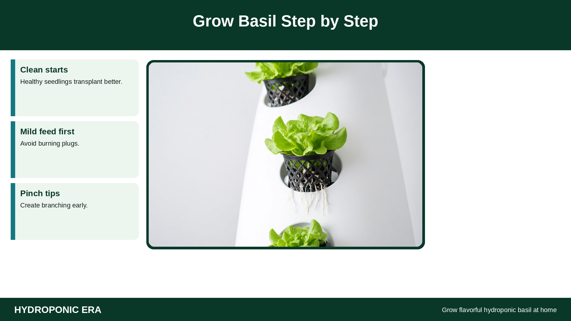 Grow pockets with basil step-by-step tip cards