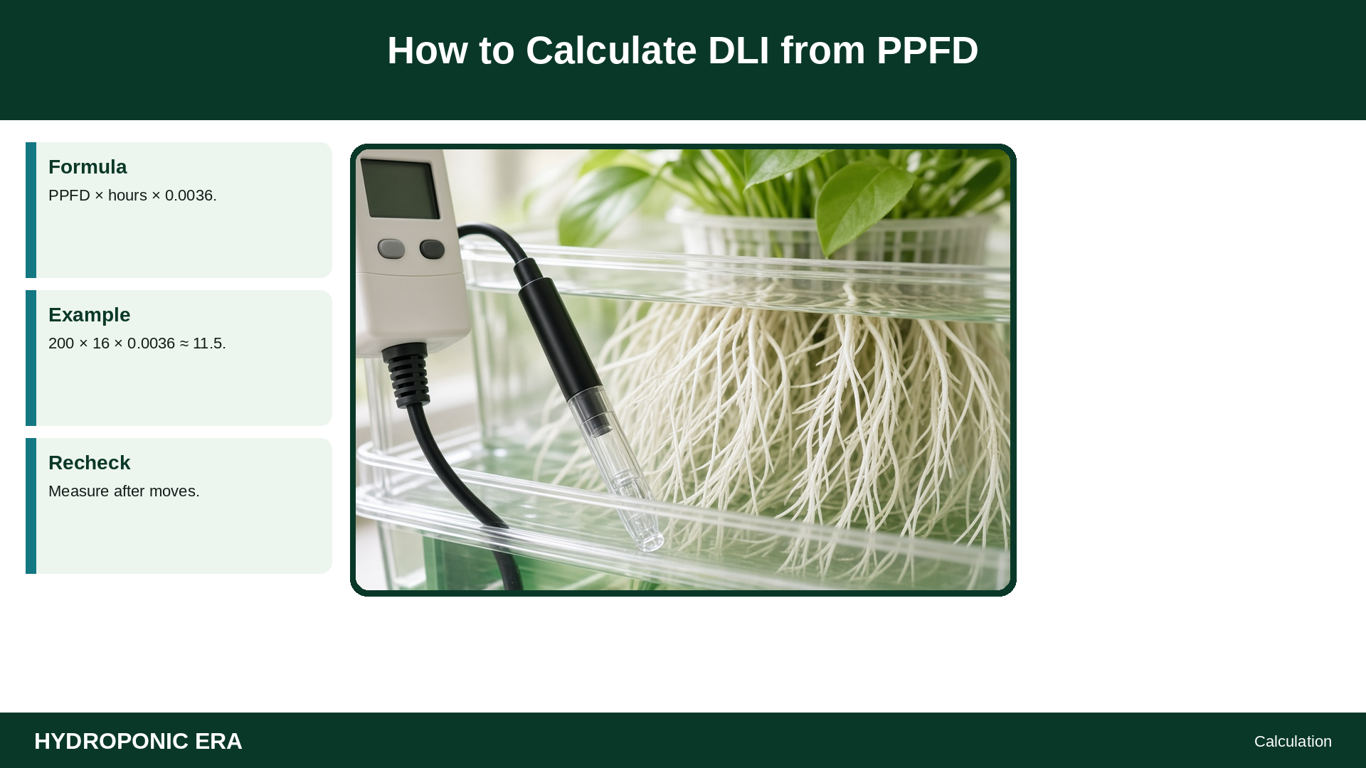 How to Calculate DLI from PPFD — HydroponicEra tip card graphic