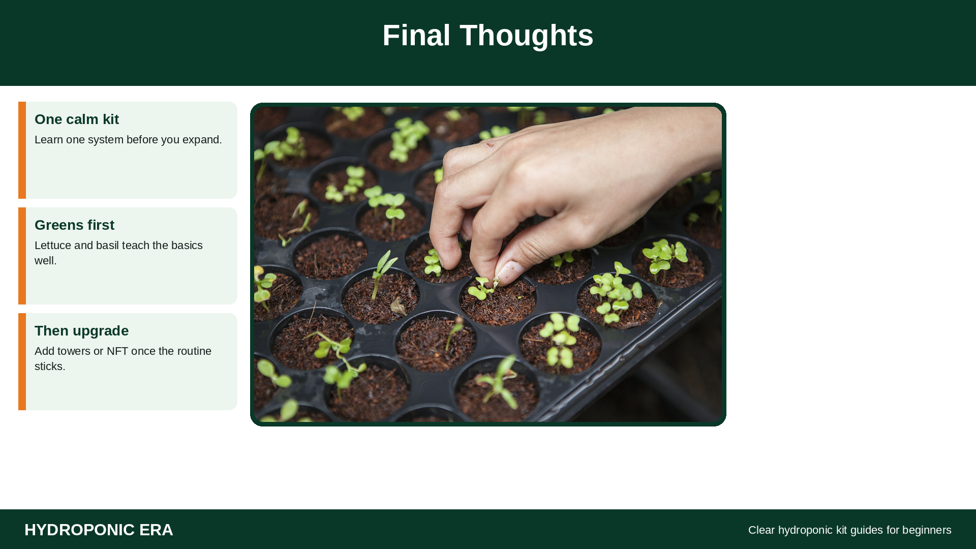 Final thoughts on how to choose a hydroponic kit