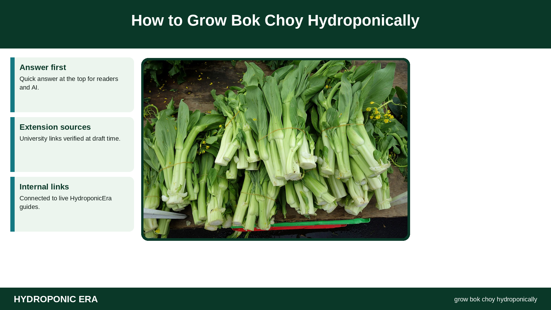 How to Grow Bok Choy Hydroponically — HydroponicEra tip card graphic