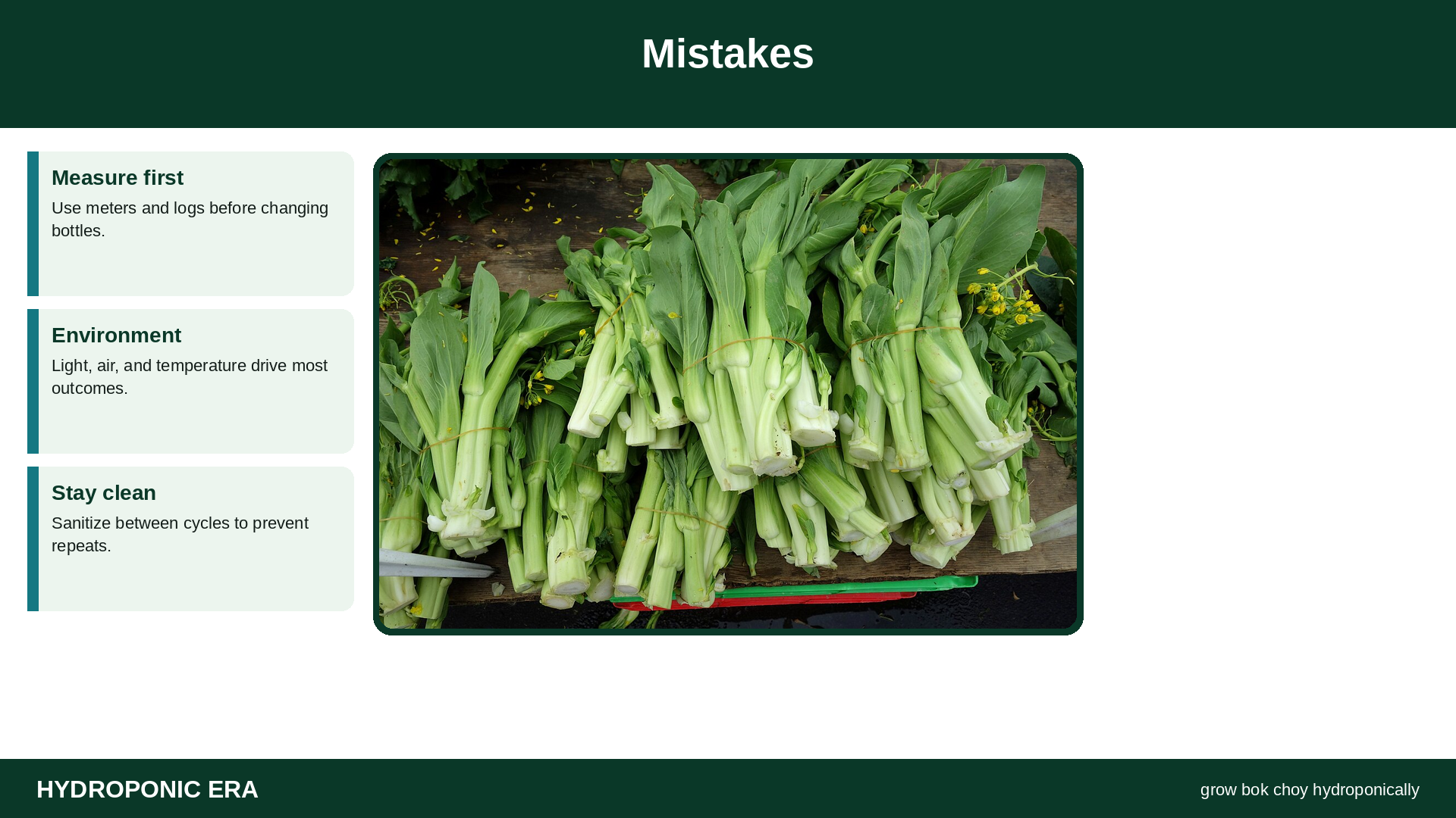 Mistakes — HydroponicEra tip card graphic