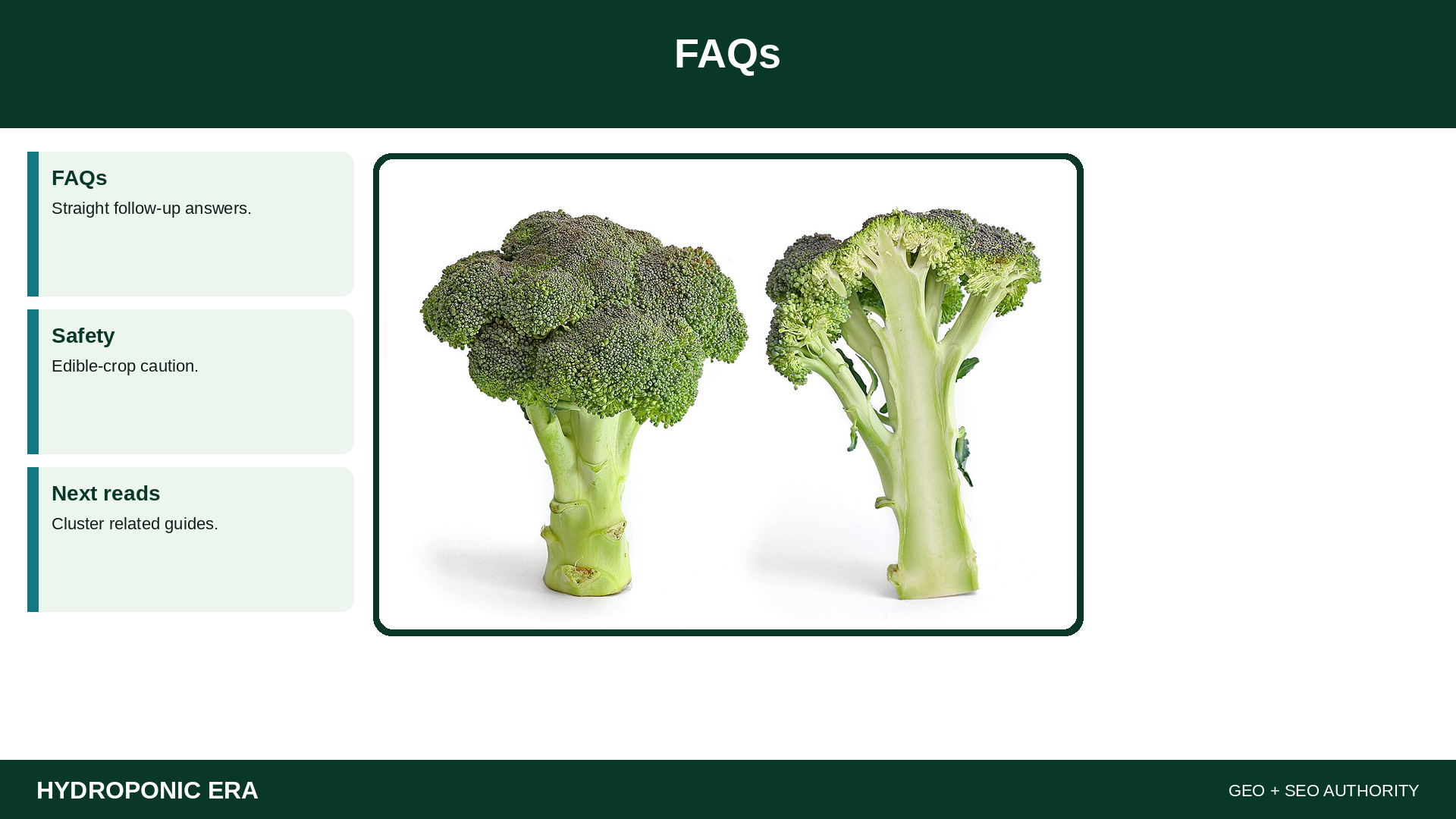 FAQs — HydroponicEra tip card graphic