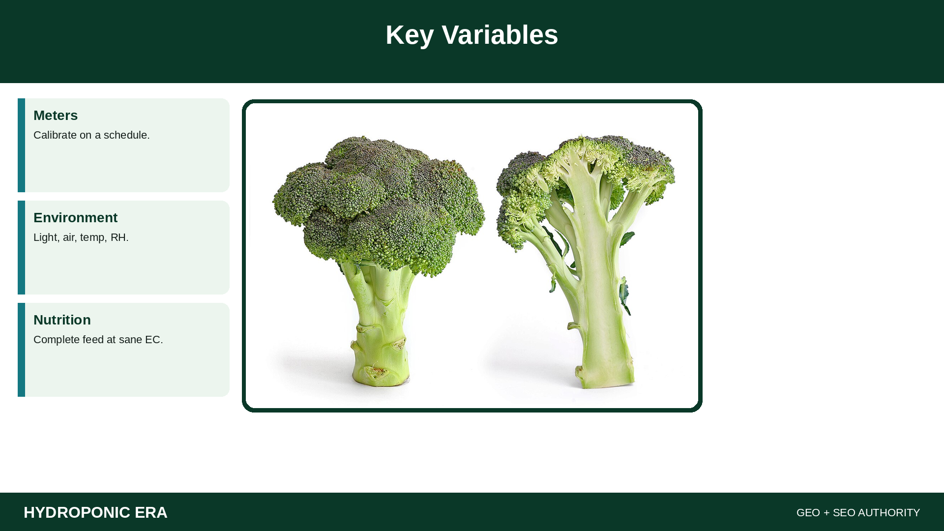 Key Variables — HydroponicEra tip card graphic