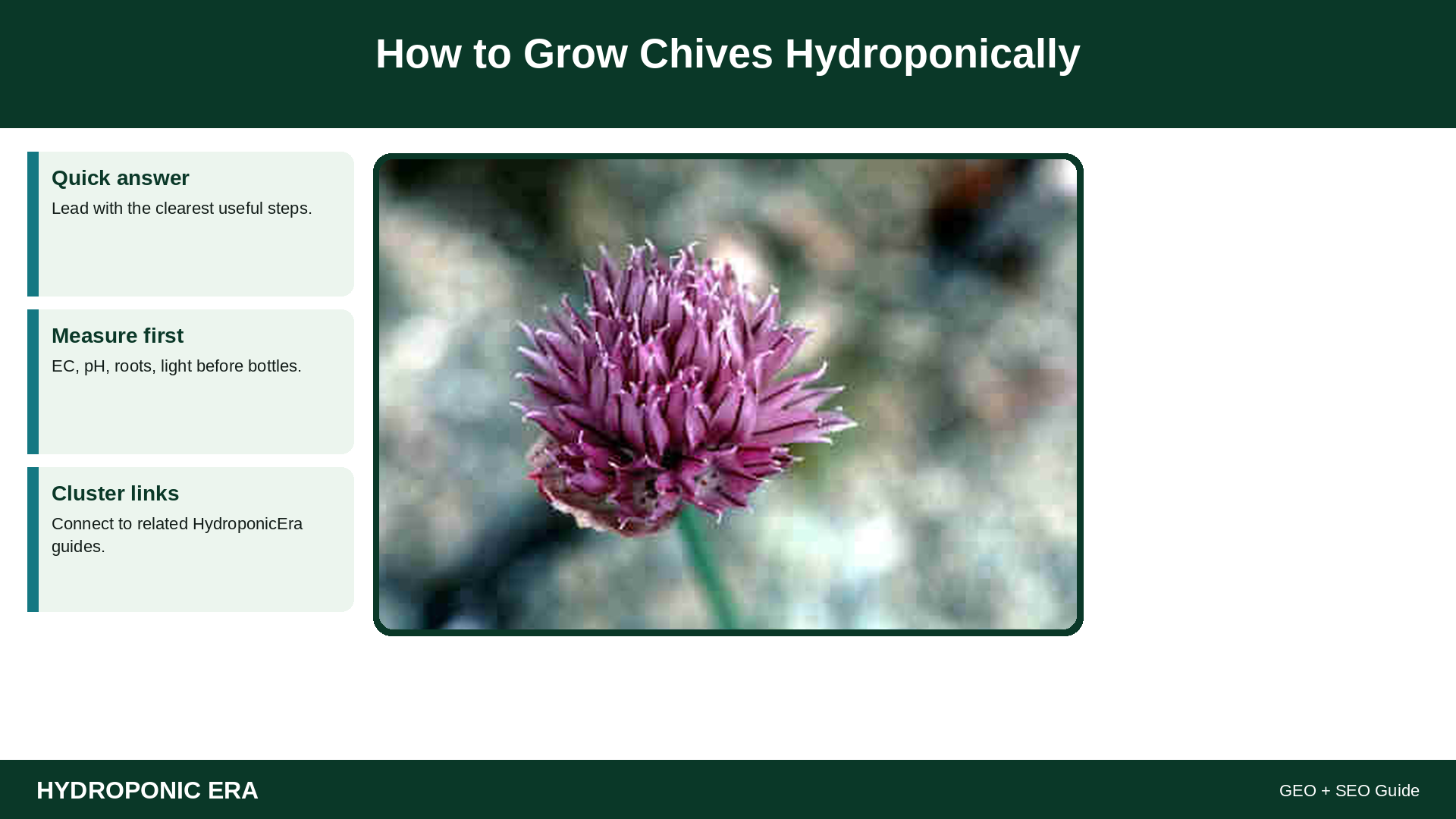 grow chives hydroponically guide