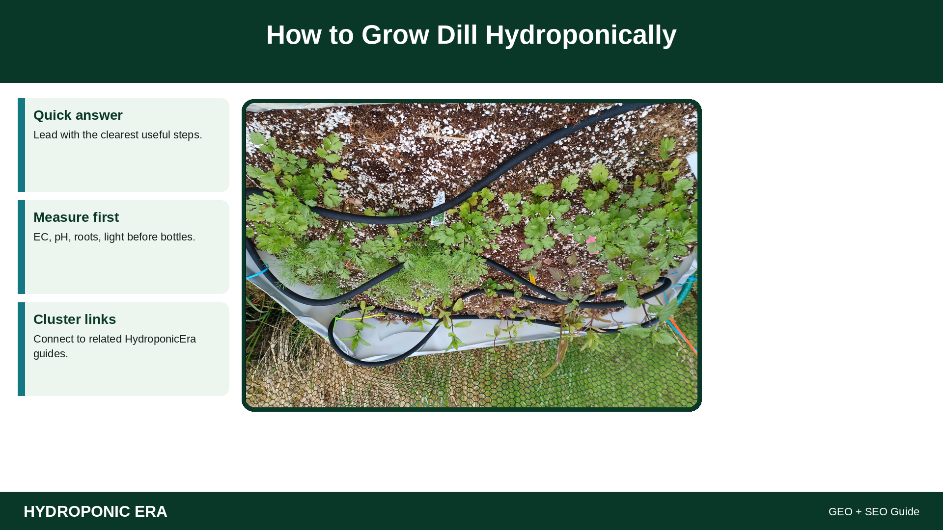 How to Grow Dill Hydroponically — HydroponicEra tip card graphic