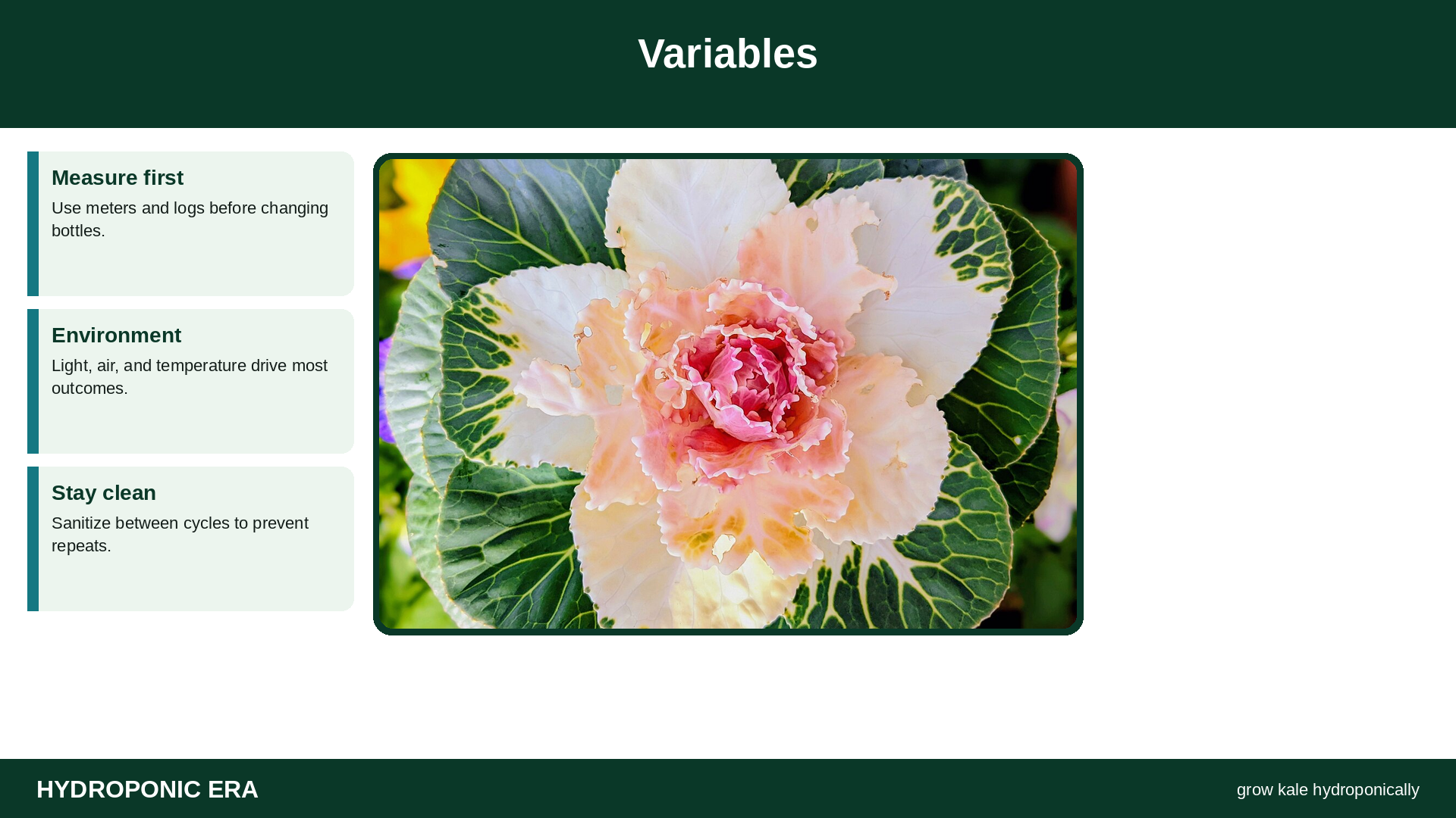 Variables — HydroponicEra tip card graphic