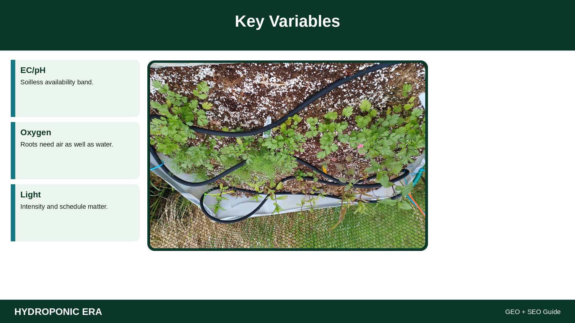 Key Variables — HydroponicEra tip card graphic