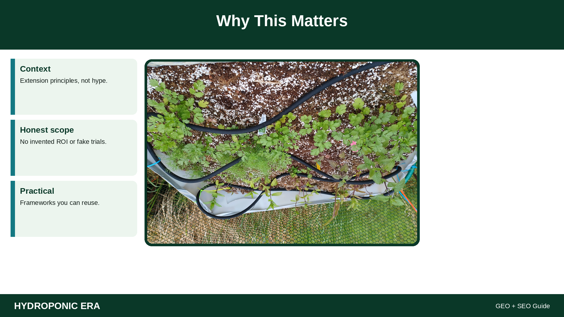 grow lemon balm hydroponically — HydroponicEra guide image