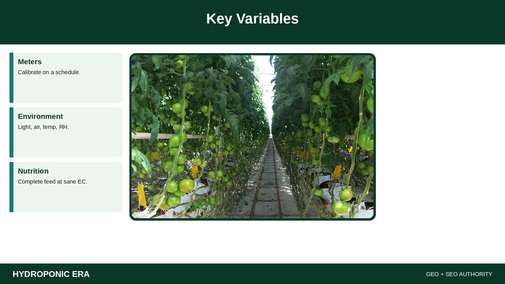 Key Variables — HydroponicEra tip card graphic