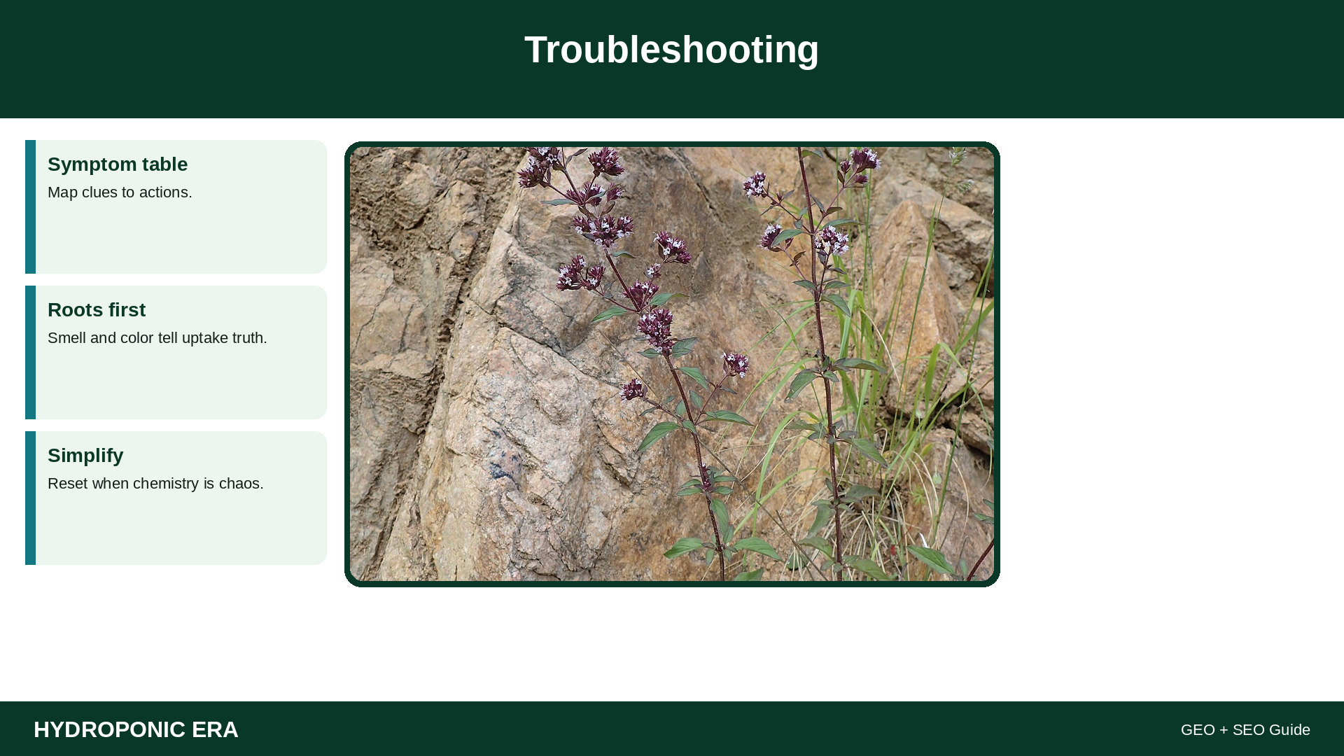 Troubleshooting — HydroponicEra tip card graphic