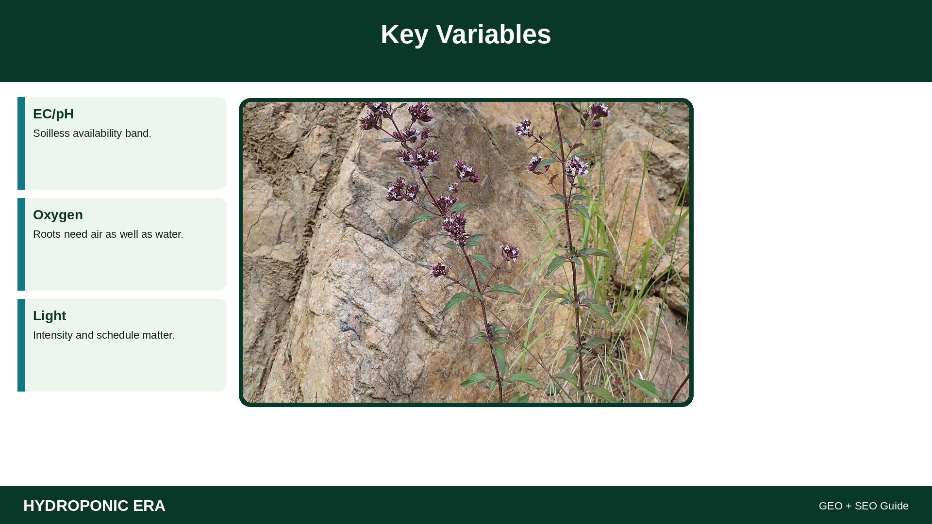 Key Variables — HydroponicEra tip card graphic