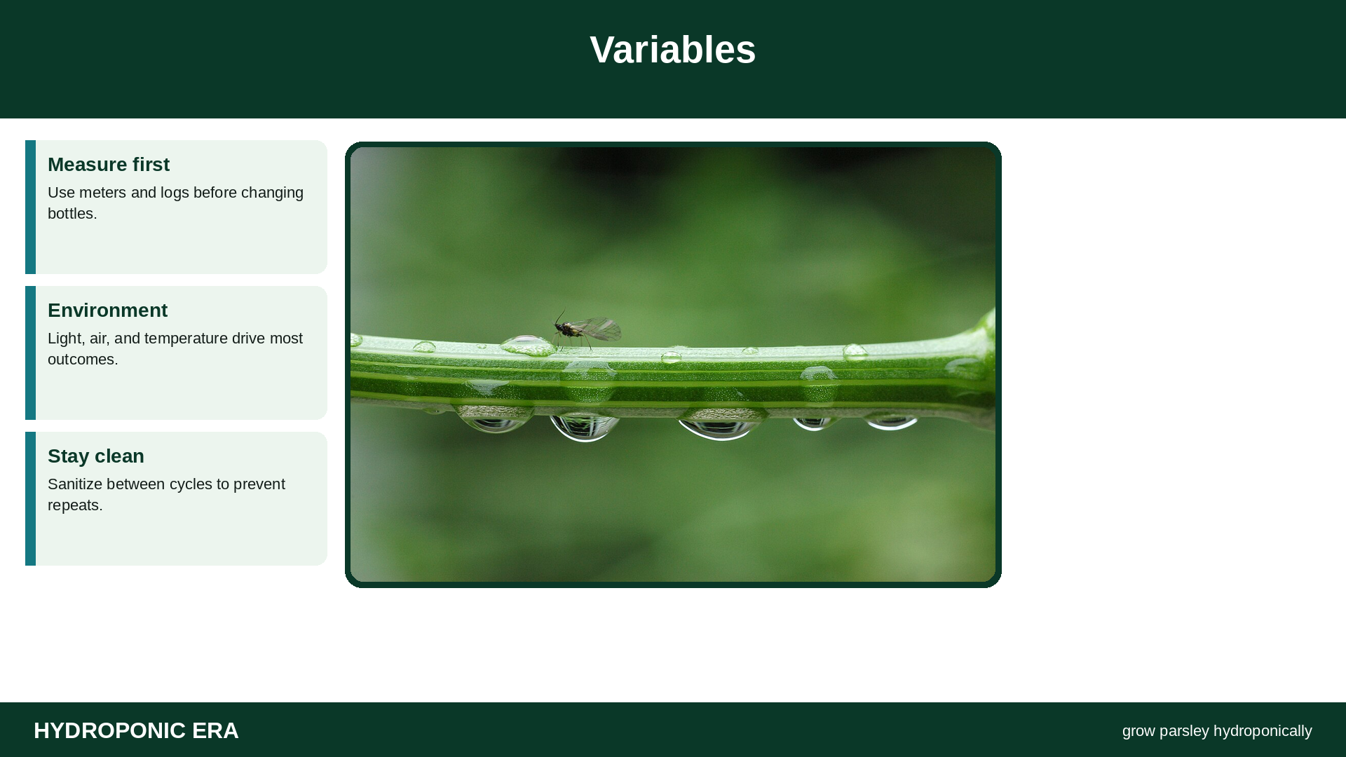 Variables — HydroponicEra tip card graphic