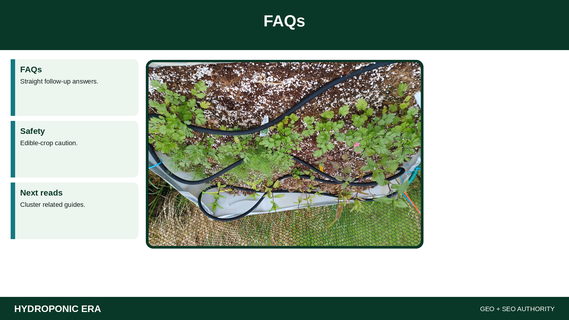 FAQs — HydroponicEra tip card graphic