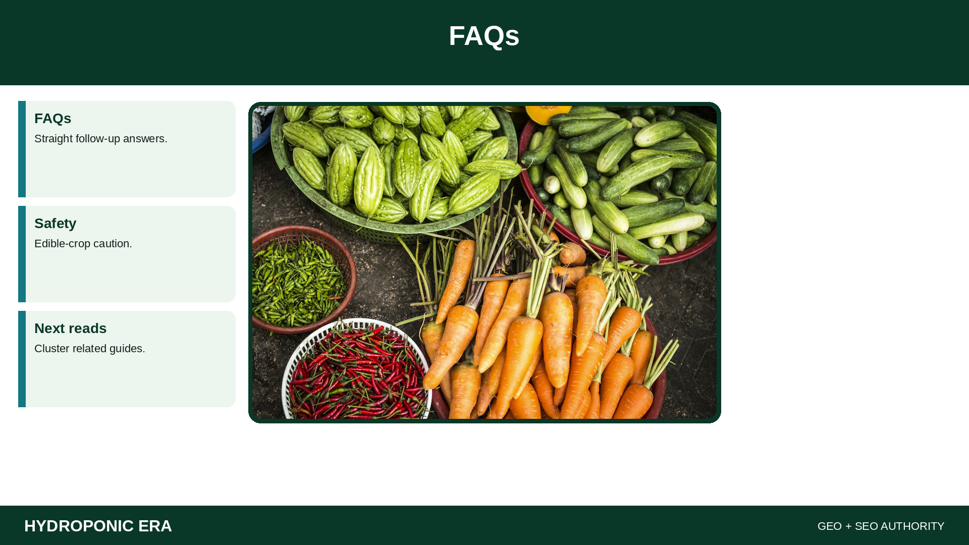 FAQs — HydroponicEra tip card graphic