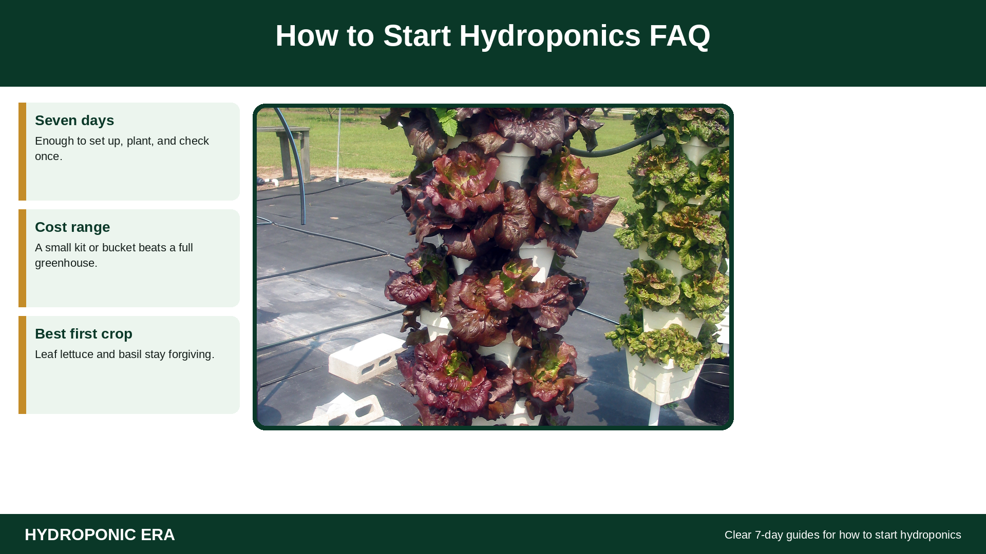 FAQ on how to start hydroponics for beginners