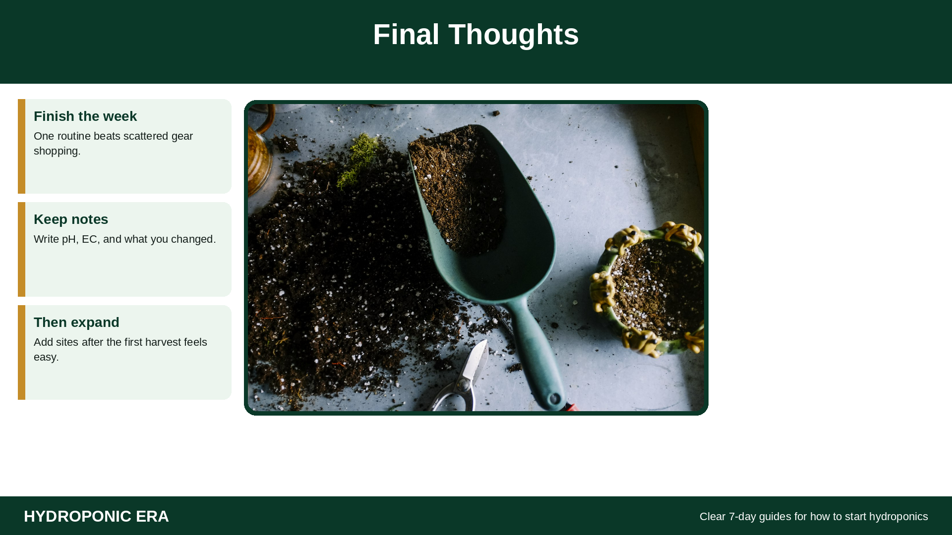 Final thoughts on how to start hydroponics at home in 7 days
