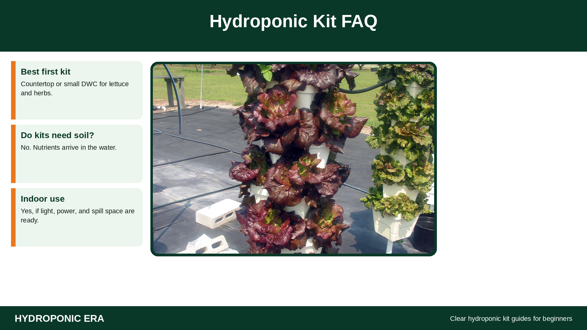 Hydroponic kit FAQ for beginners