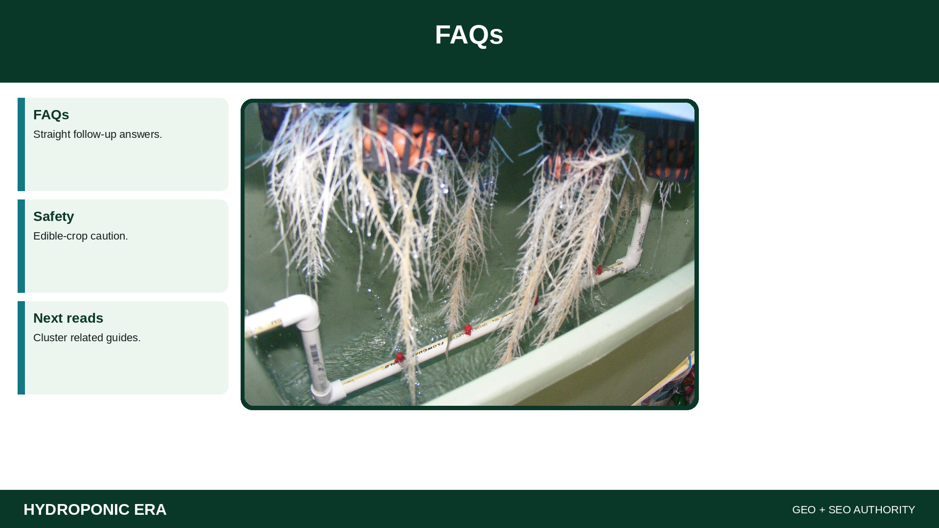 FAQs — HydroponicEra tip card graphic