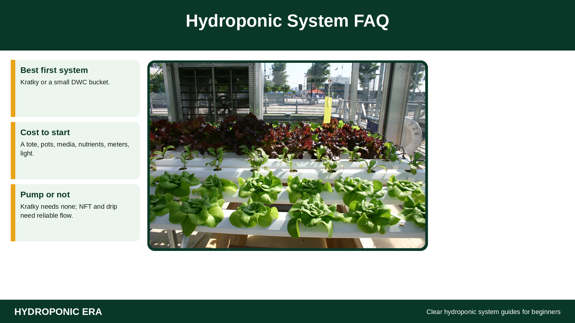 Hydroponic system FAQ with healthy leafy greens