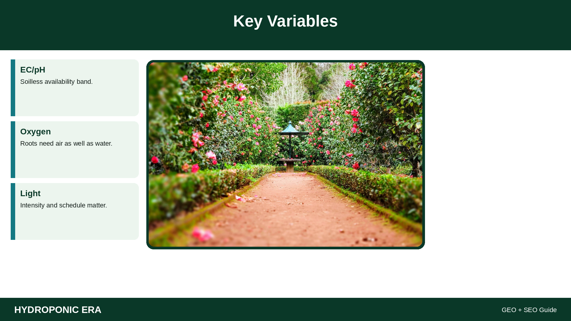 hydroponics vs soil — HydroponicEra guide image