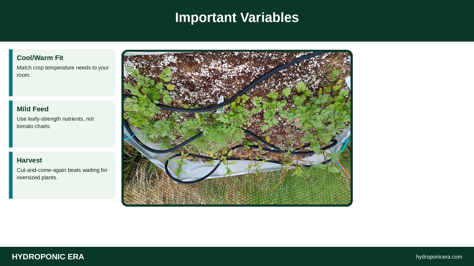 Important Variables — HydroponicEra tip card graphic