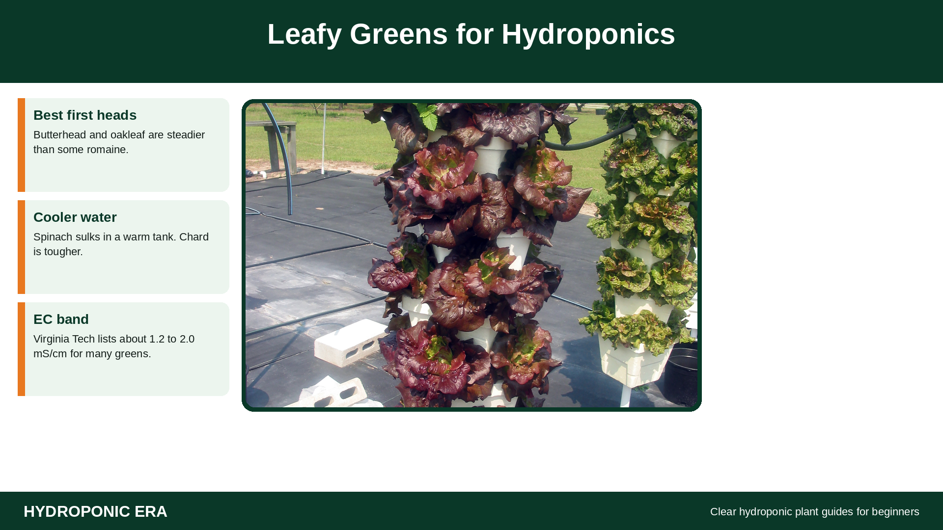 Leafy greens are reliable hydroponic plants in a vertical tower