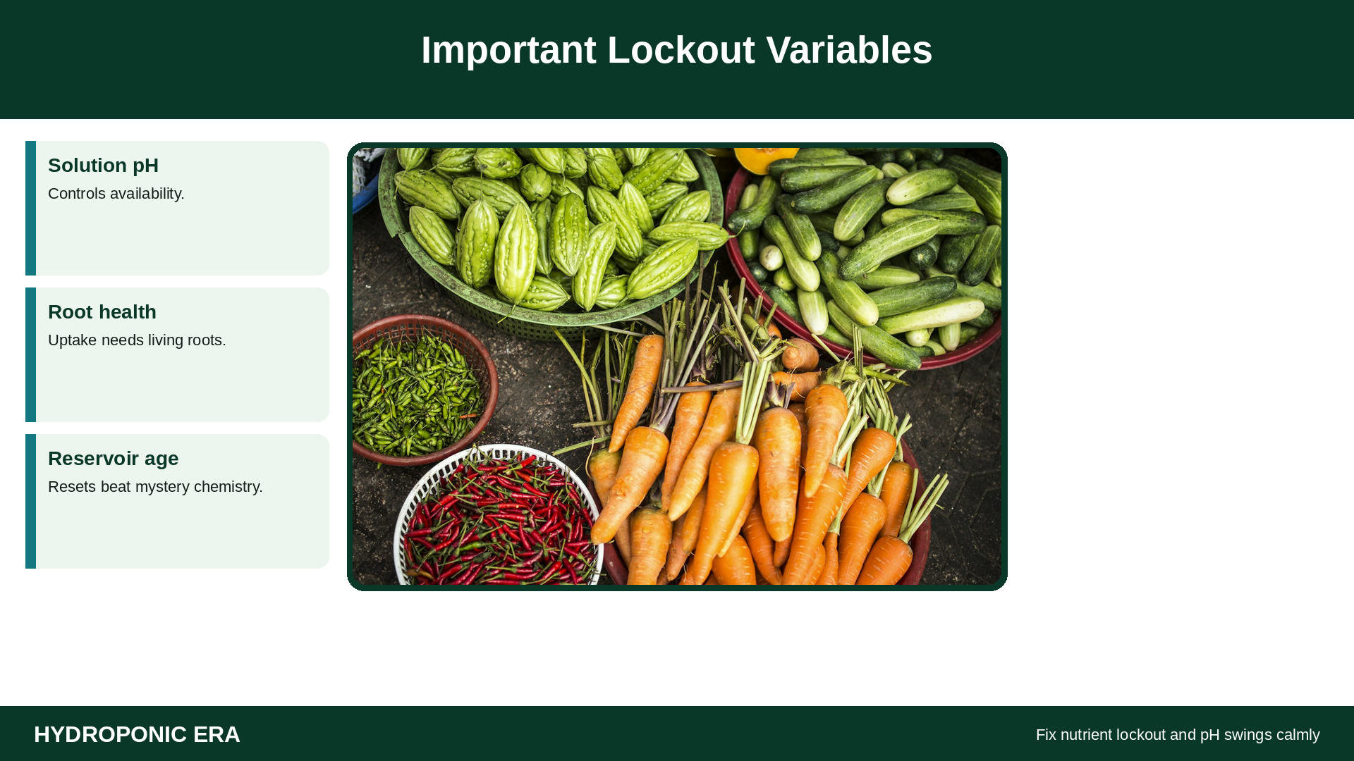 Hydroponic vegetables with lockout variable tip cards
