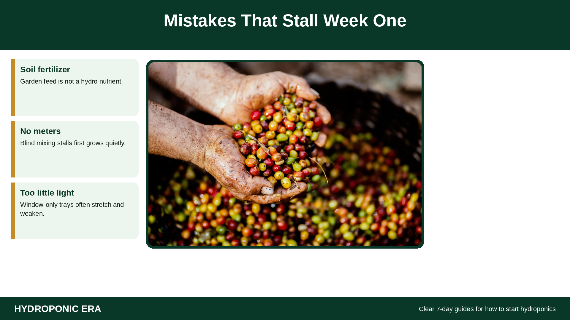 Mistakes that stall week one when learning how to start hydroponics